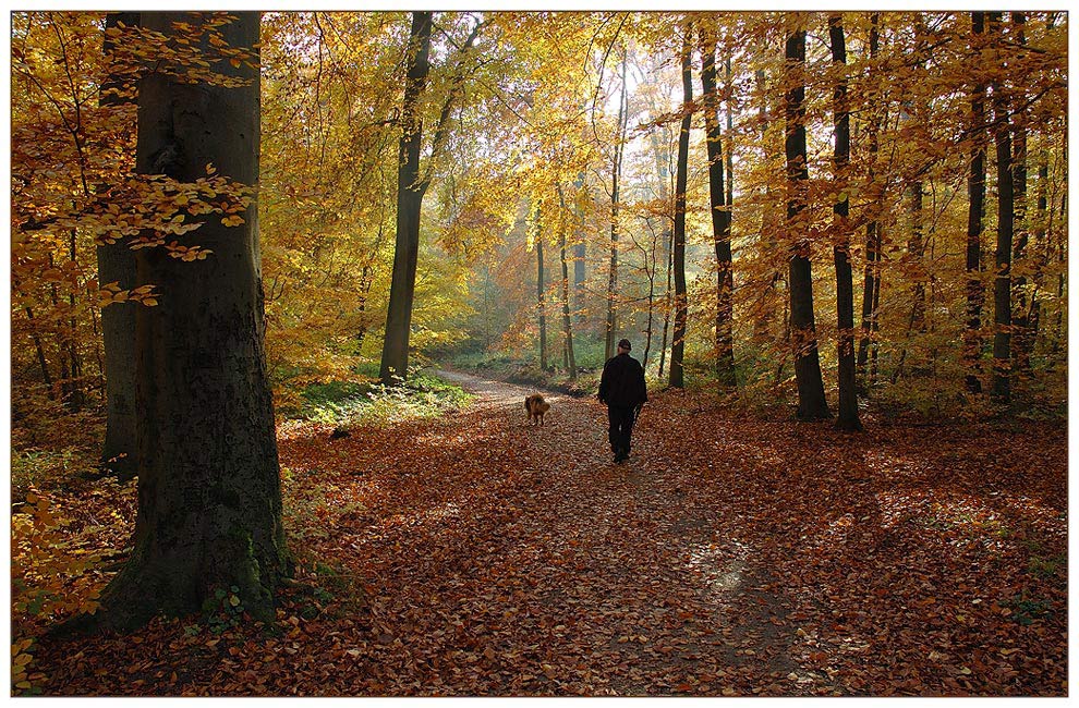 фото "Приятная прогулка" метки: пейзаж, осень