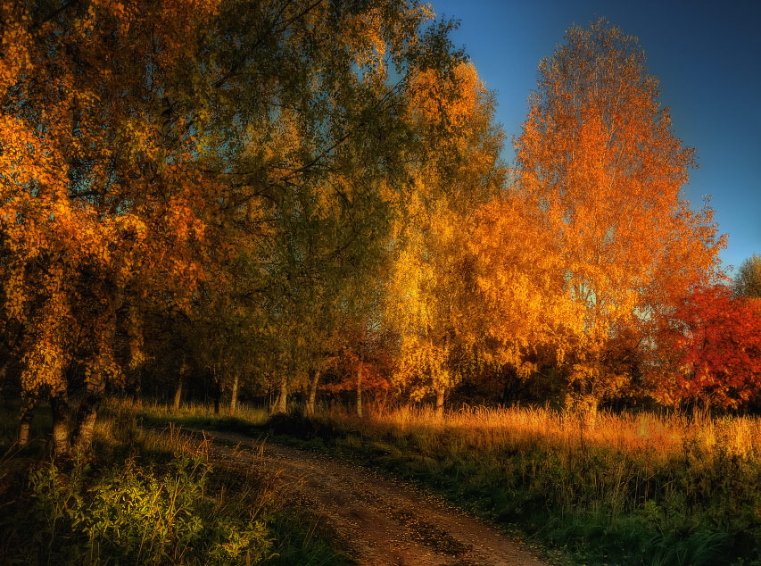 фото "Осенний поцелуй" метки: пейзаж, осень