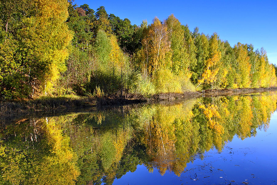 фото "***" метки: пейзаж, вода, лето