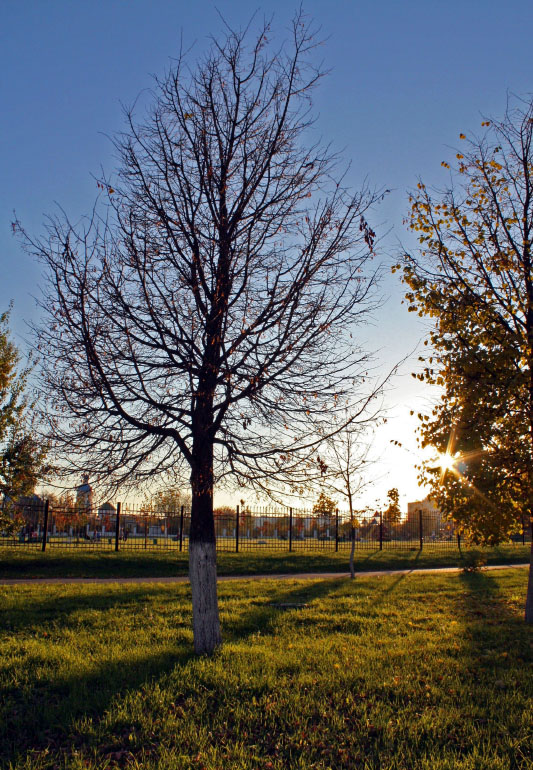 photo "***" tags: landscape, autumn