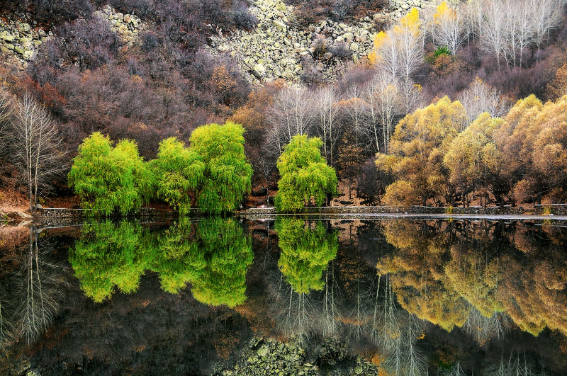 photo "autumn" tags: landscape, autumn