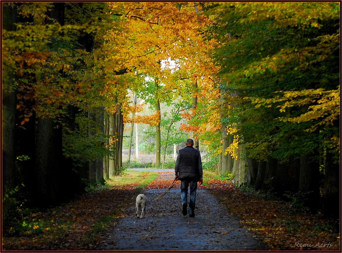 photo "Who let the dogs out?" tags: landscape, autumn, forest