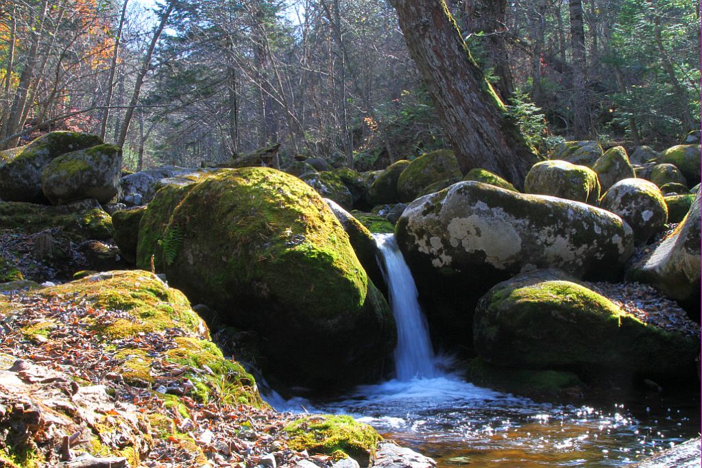 photo "***" tags: landscape, water