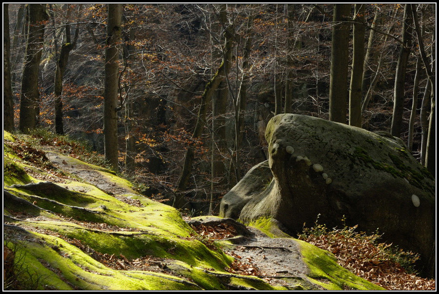 photo "***" tags: landscape, autumn, forest