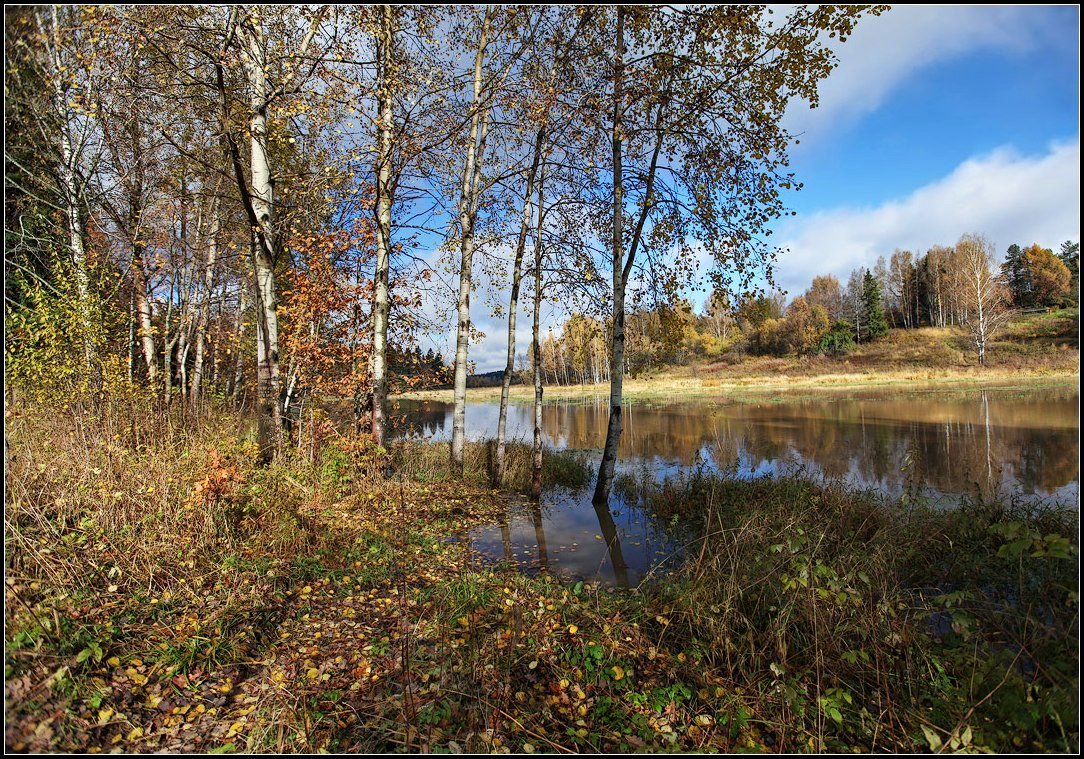 photo "Autumn walk" tags: landscape, autumn, water