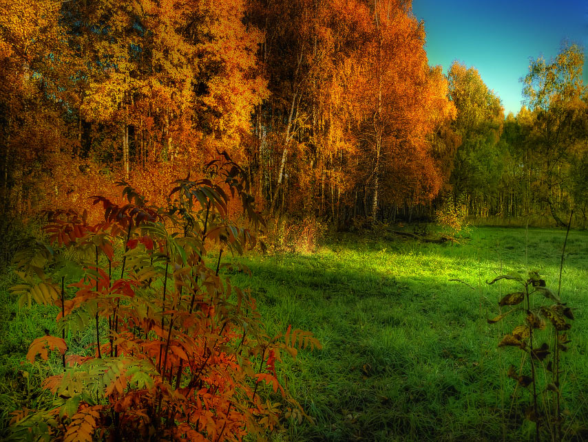 фото "Прощальный пир" метки: пейзаж, осень