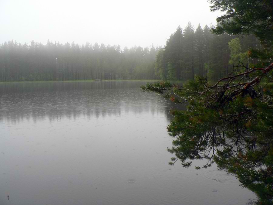 фото "дождливое утро" метки: пейзаж, вода, лес