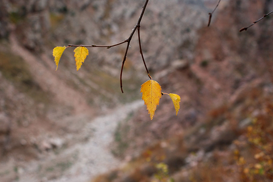 фото "Осенняя тропа" метки: пейзаж, горы, осень