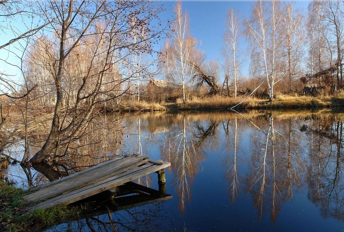 фото "Тихое утро." метки: пейзаж, вода, осень