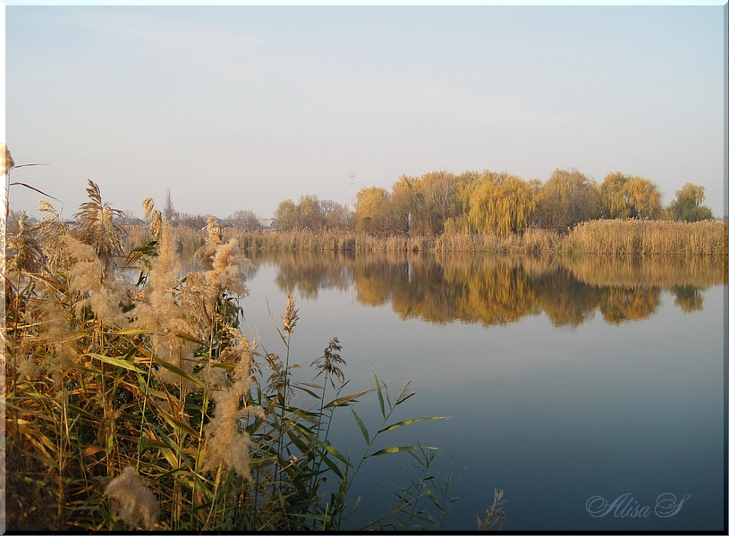 photo "..." tags: , autumn, water, Кубань