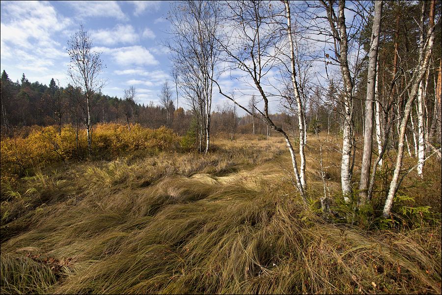 photo "***" tags: landscape, 