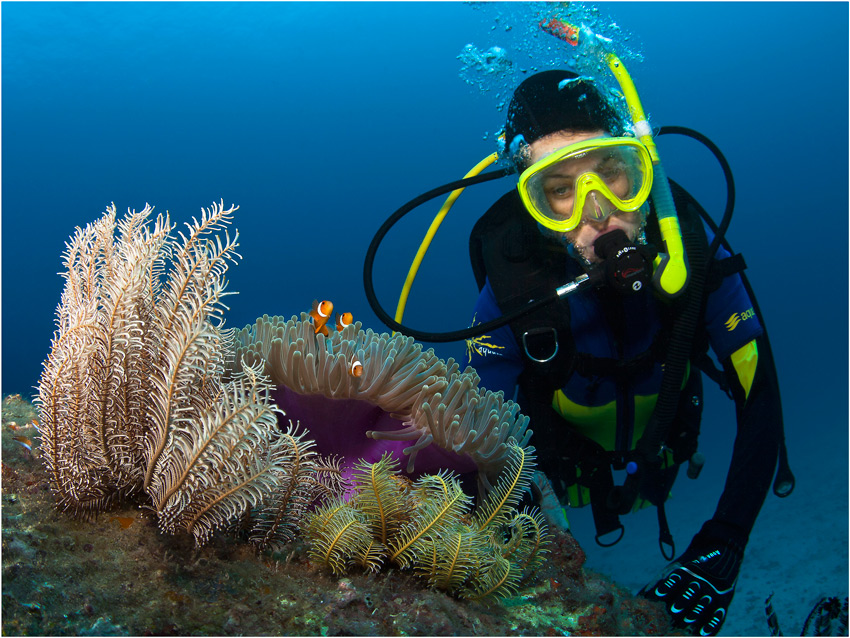 photo "Underwater Thailand" tags: underwater, travel, Asia
