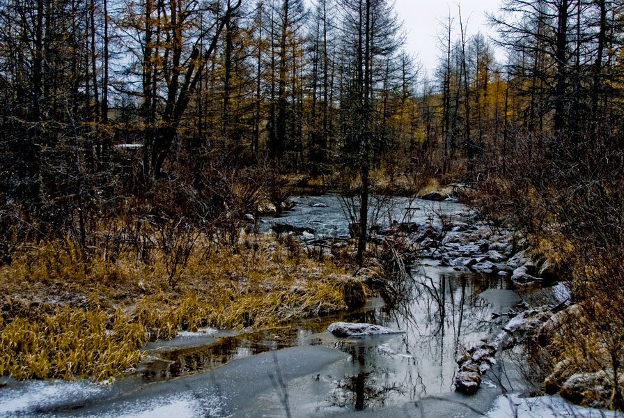 фото "У ручья..." метки: пейзаж, вода, осень
