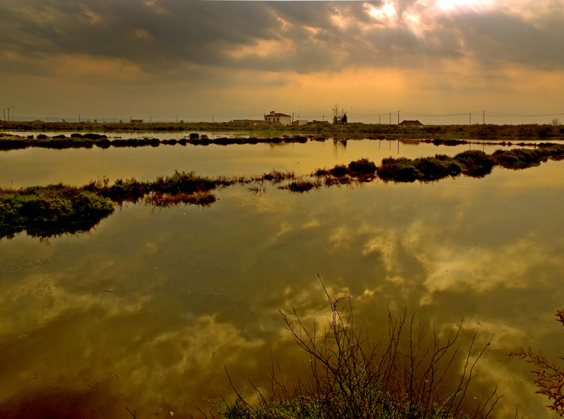 photo "ESTUARY LIGHT" tags: landscape, sunset, water