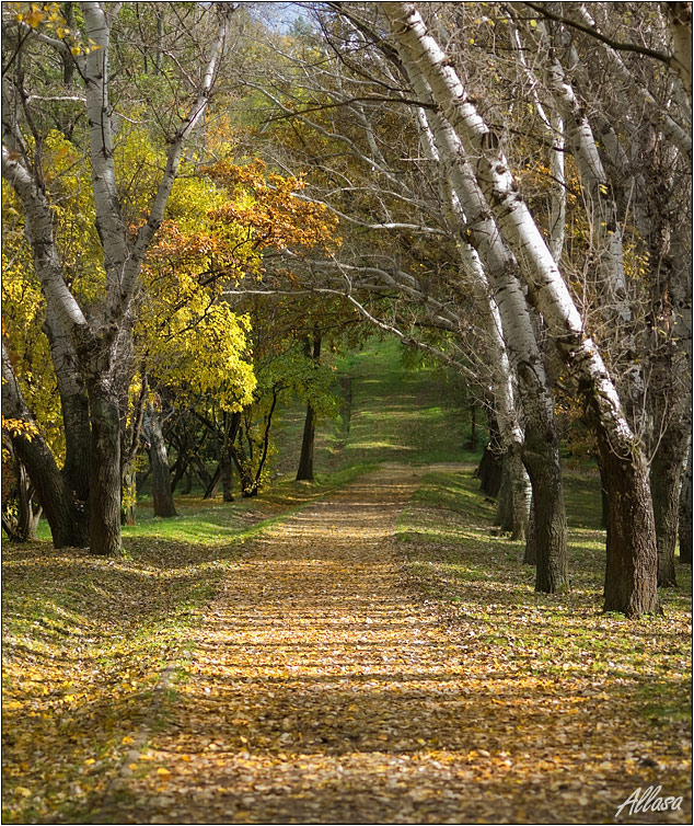 photo "***" tags: landscape, autumn
