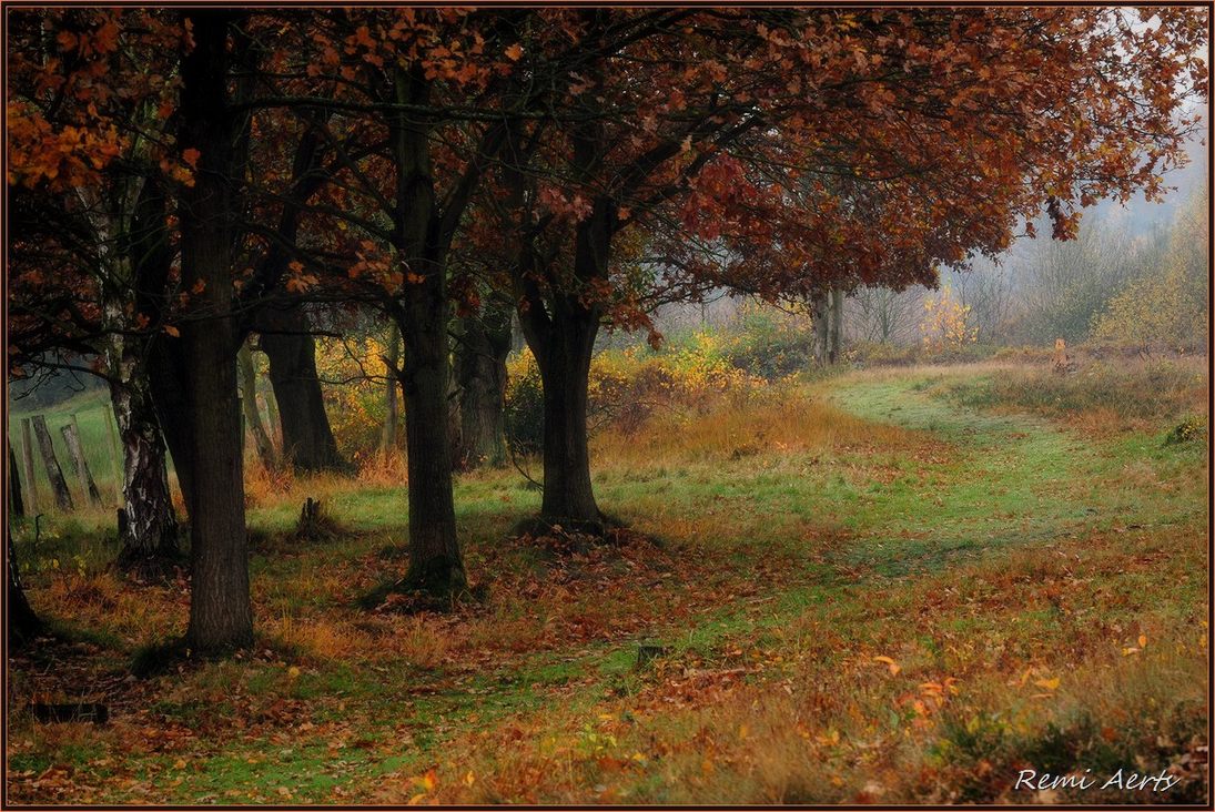 photo "I love the tranquility here" tags: landscape, autumn, forest