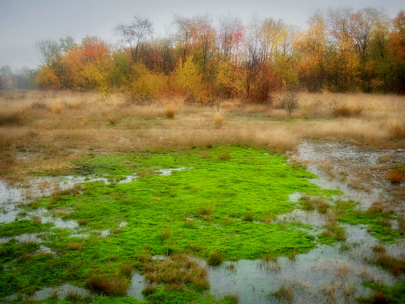 photo "***" tags: landscape, autumn