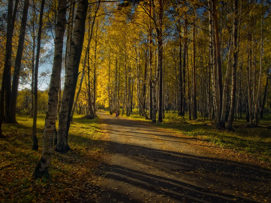 photo "***" tags: landscape, autumn