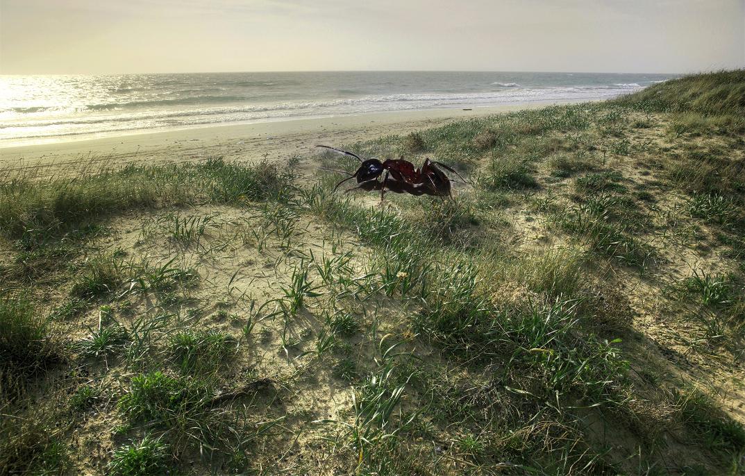 фото "the Sea Way" метки: пейзаж, фотомонтаж, лето