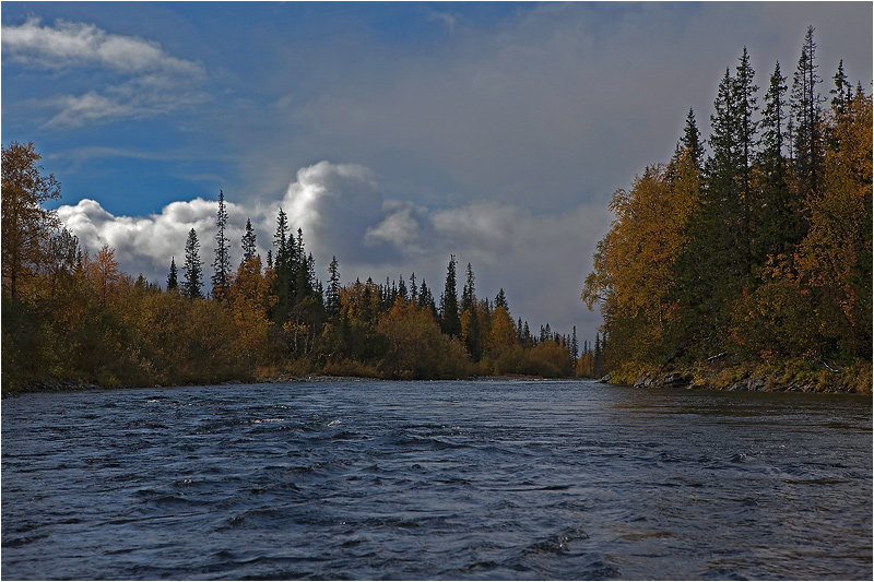 фото "Про осень.." метки: пейзаж, вода, лес