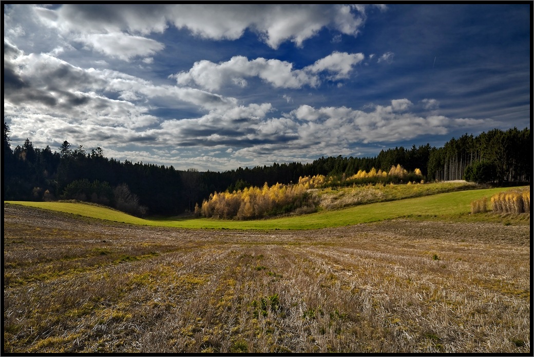 photo "***" tags: landscape, autumn