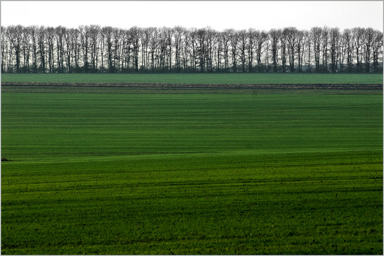 photo "пейзаж" tags: landscape, mountains