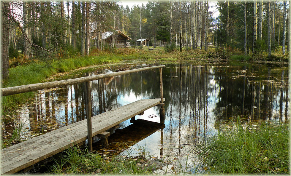 photo "***" tags: landscape, forest