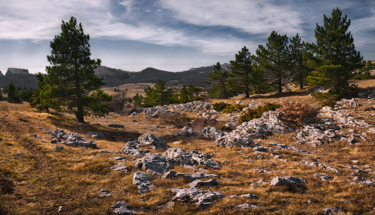 фото "Плато Ай-петри" метки: пейзаж, горы
