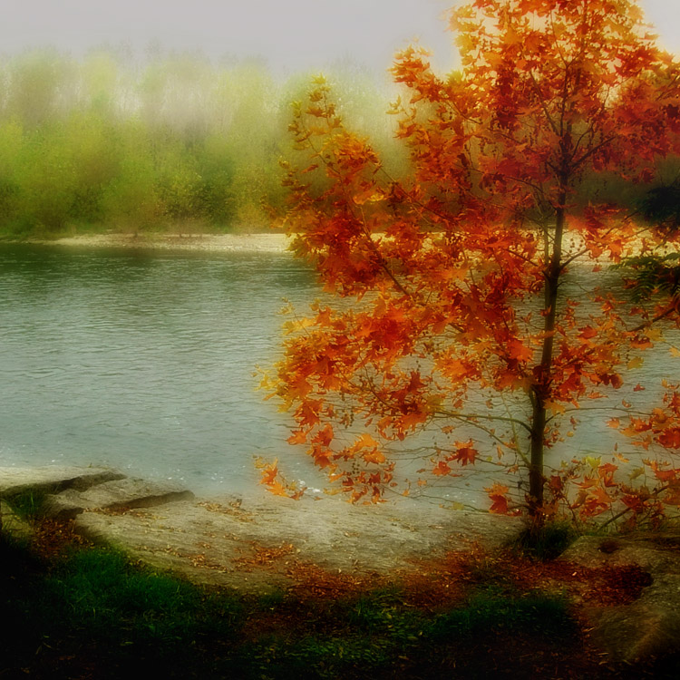 photo "***" tags: landscape, autumn