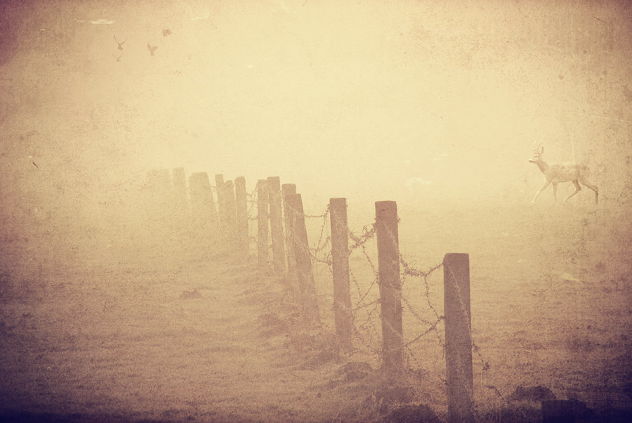 photo "m" tags: , 