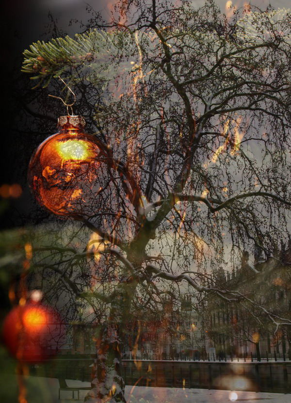 photo "***" tags: montage, 