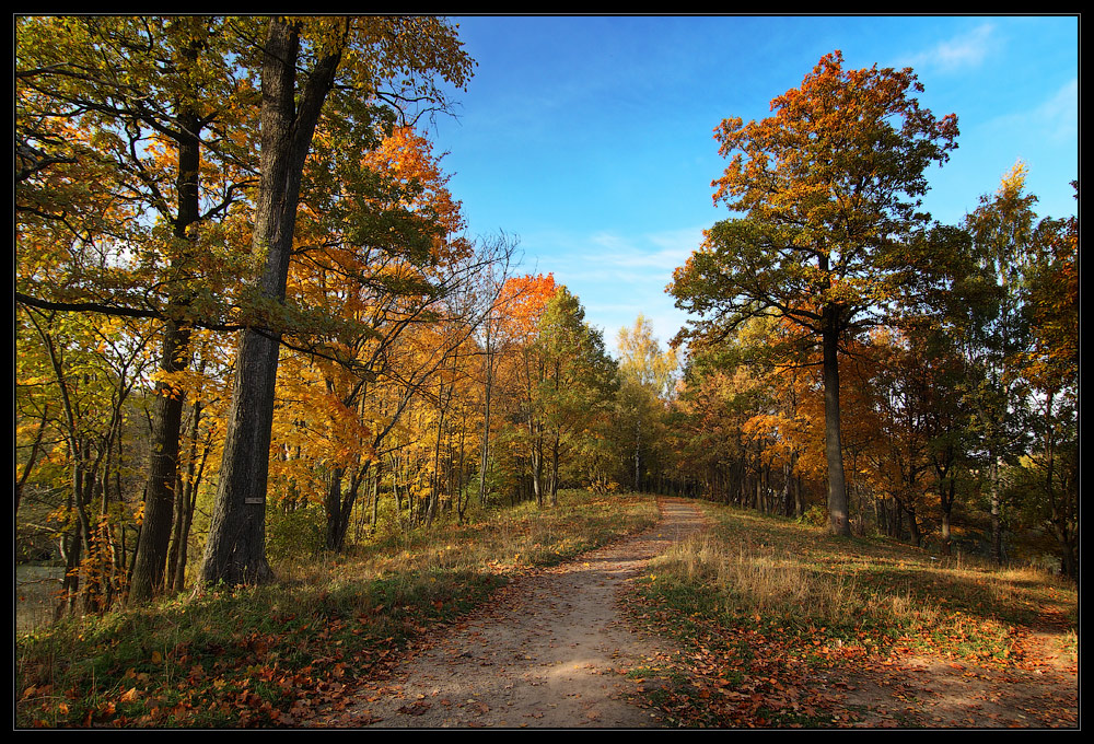 photo "***" tags: landscape, autumn, forest