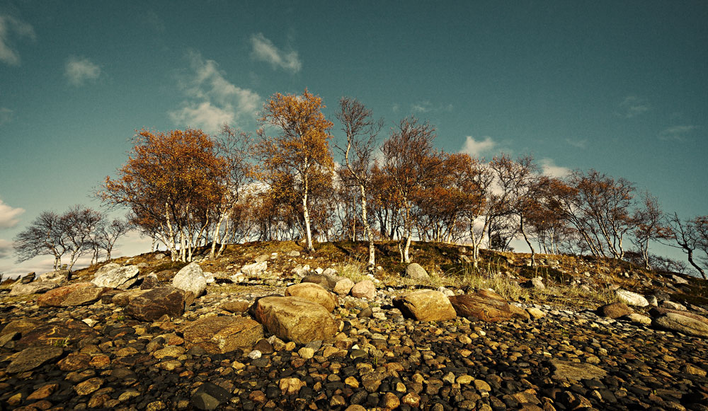 photo "And on the stone, the trees grow..." tags: landscape, travel, autumn