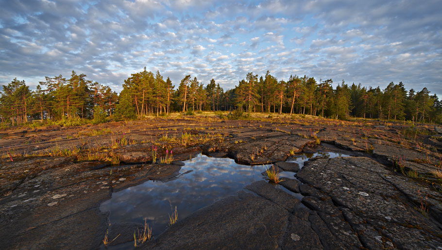 photo "Morning on Valaam" tags: landscape, travel, summer