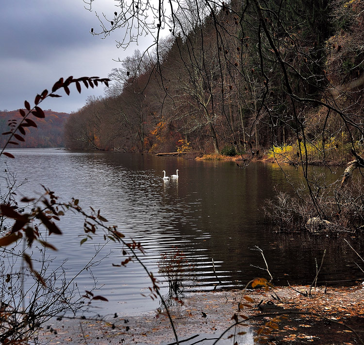 photo "***" tags: landscape, autumn