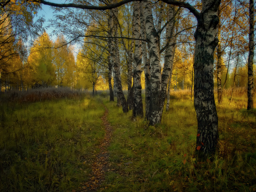 photo "***" tags: landscape, autumn