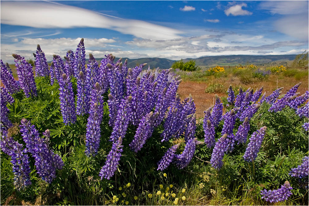 photo "Wind blowing" tags: landscape, travel, 