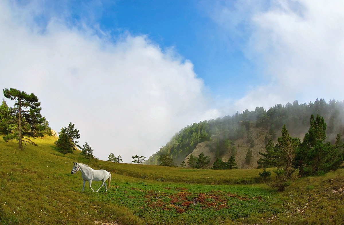 photo "***" tags: landscape, clouds, summer