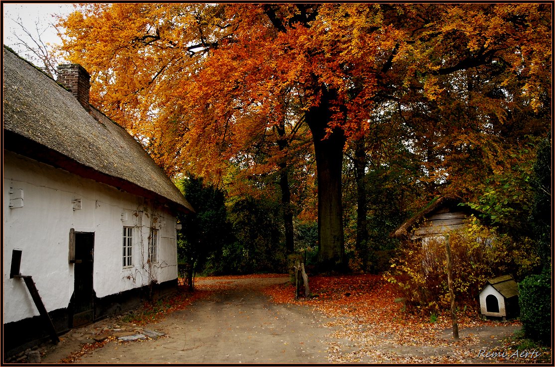 photo "Autumn in the open air museum" tags: architecture, landscape, autumn