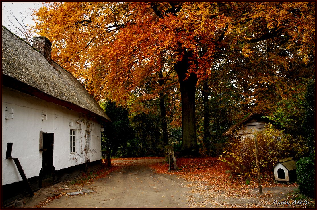 фото "Autumn in the open air museum" метки: архитектура, пейзаж, осень