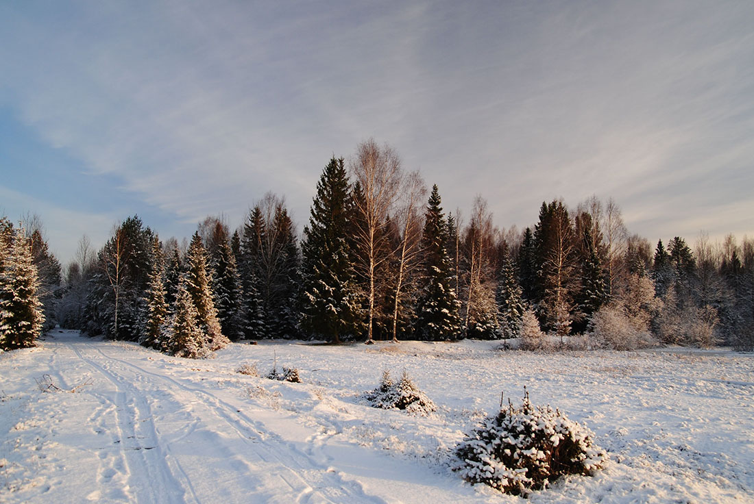 photo "***" tags: landscape, winter