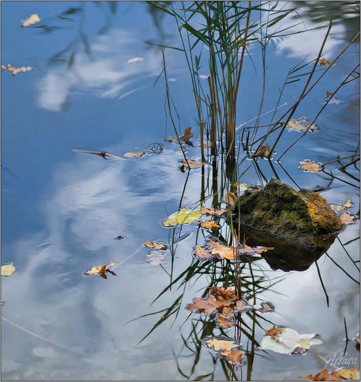 photo "***" tags: landscape, autumn
