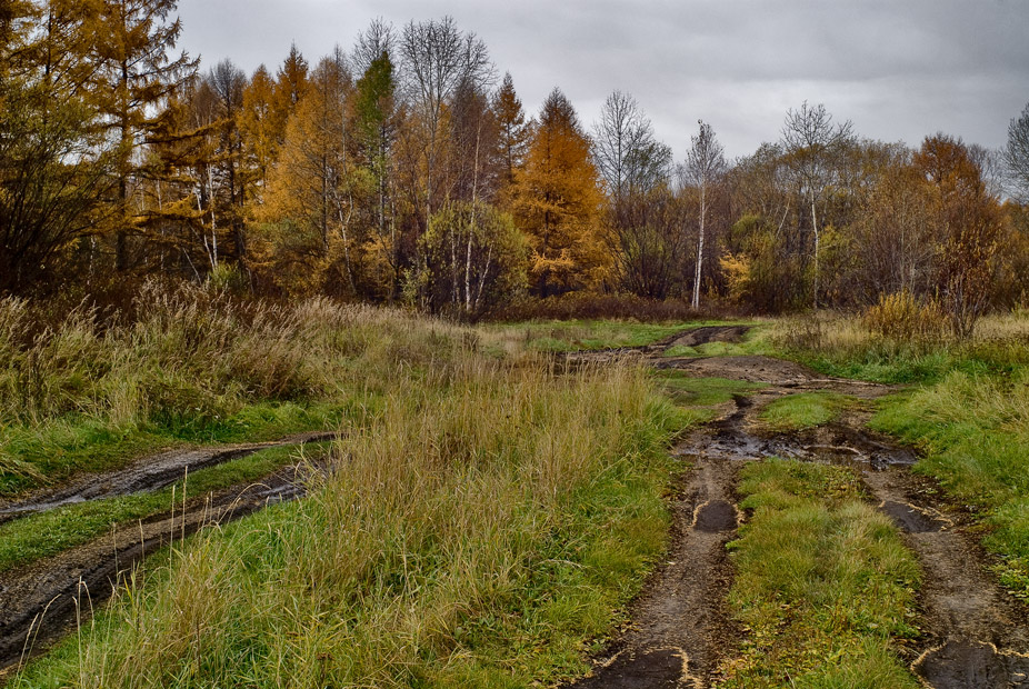 photo "***" tags: landscape, autumn, forest