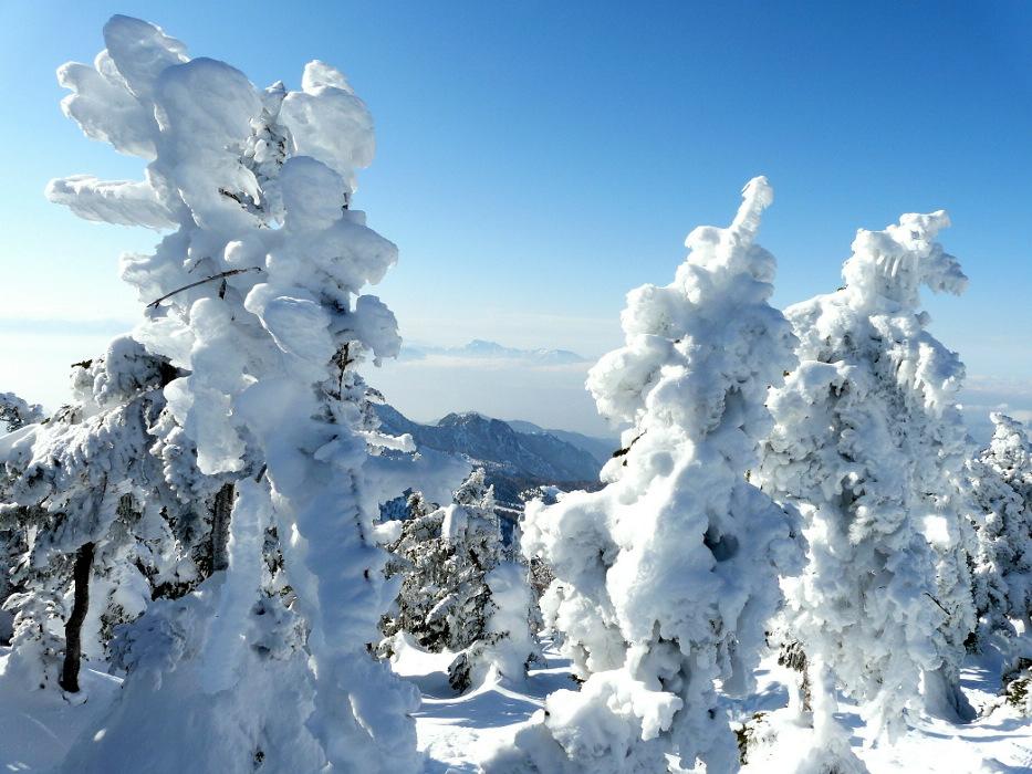 photo "Снежные монстры." tags: landscape, travel, Asia, winter