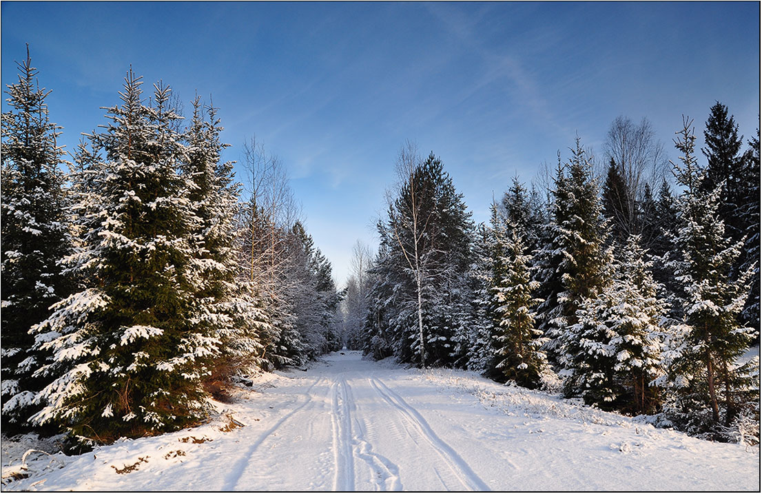 photo "***" tags: landscape, forest, winter