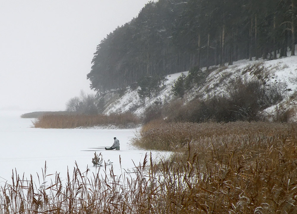 photo "***" tags: landscape, forest, winter