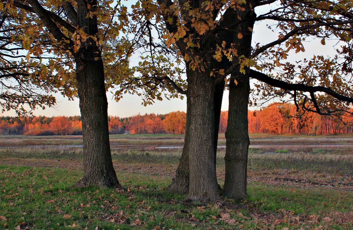 photo "Farewell to October." tags: landscape, autumn, sunset