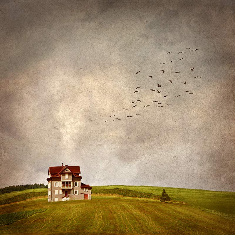 photo "A small house in the prairie" tags: misc., 