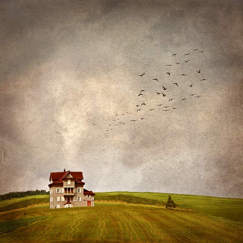 фото "A small house in the prairie" метки: разное, 