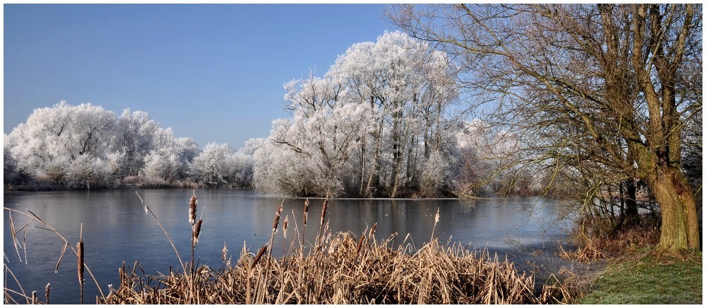 photo "***" tags: landscape, winter